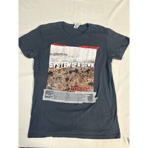 Vintage System Of A Down Shirt Mens M Gray Toxicity Tour Concert Metal Y2K Tee